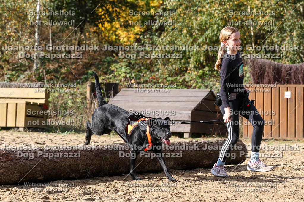 Dog Paparazzi - Strongdog 10-25-5191 | Dog Paparazzi Jeanette Grottendiek Fotografie & Videografie - Realisiert mit Pictrs.com