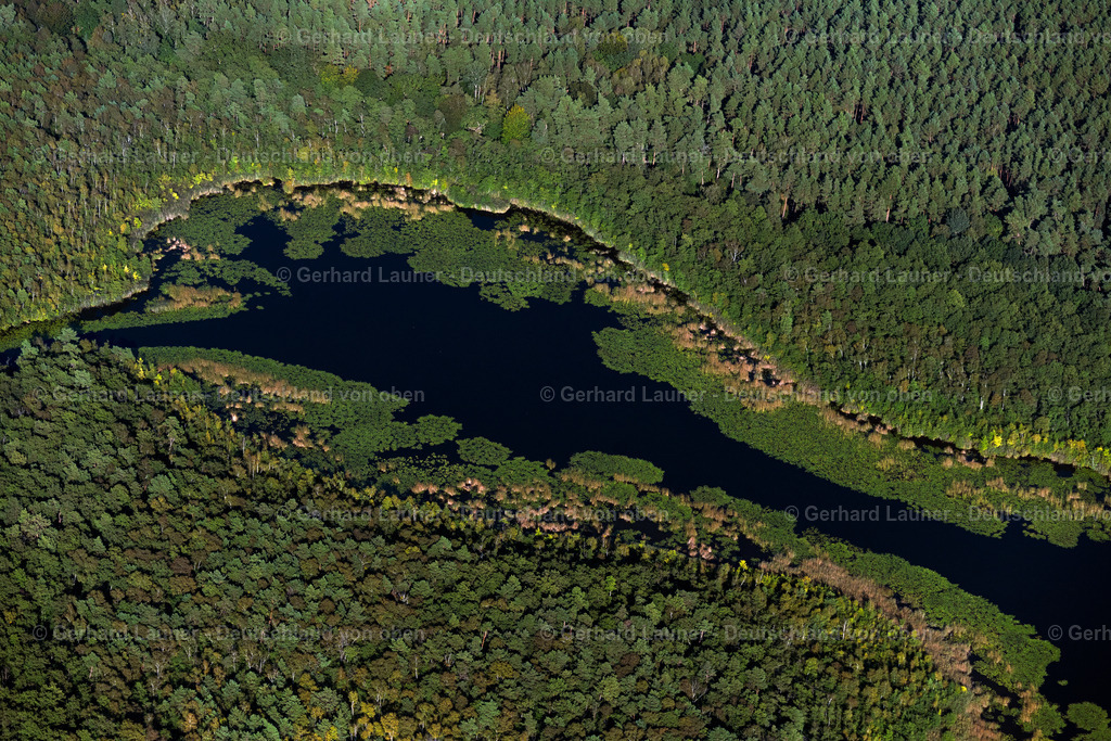 4062296 | ROGGENTIN 08.09.2021 Blick auf eine Seenlandschaft in Roggentin im Bundesland Mecklenburg-Vorpommern. Zu sehen sind die von einer Waldlandschaft umgebenen Seen Mössel (vorne),Leppinsee (mittig) und Woterfitzsee (hinten). // View of a seascape in Roggentin in the state Mecklenburg-West Pomerania. Foto: Gerhard Launer