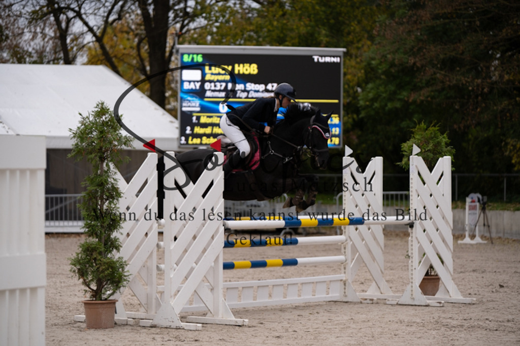 A7V00853 | Pferdefotograf