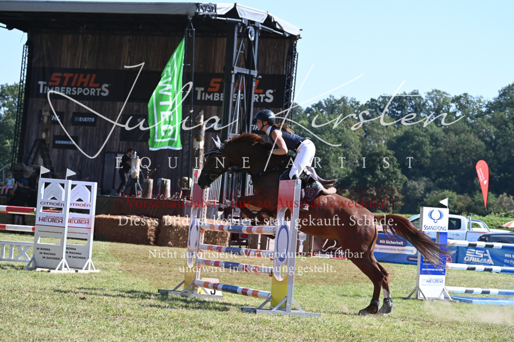 DSC_6458 | Pferde- und Turnierfotografie in Westsachsen. Pferdeportraits, Auftragszeichnungen und intuitive Kunst.