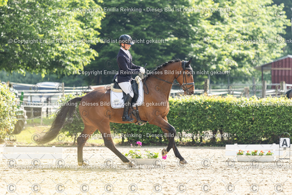 CL5A4200 | Emilia Reinking Fotografie - Realisiert mit Pictrs.com