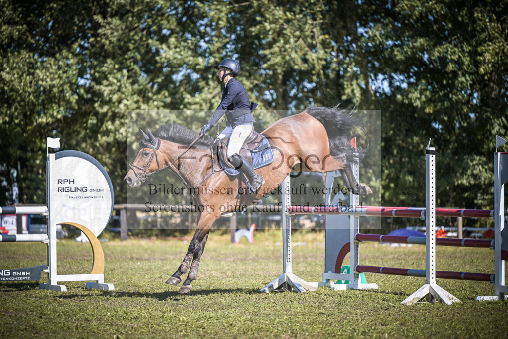 DOS_0139 | Entdecke hochwertige Reitturnierfotos von Foto Oger. Professionell, emotional und authentisch – jetzt Lieblingsmomente im Shop bestellen.Deutschlandweite Turnierfotografie. - Realisiert mit Pictrs.com