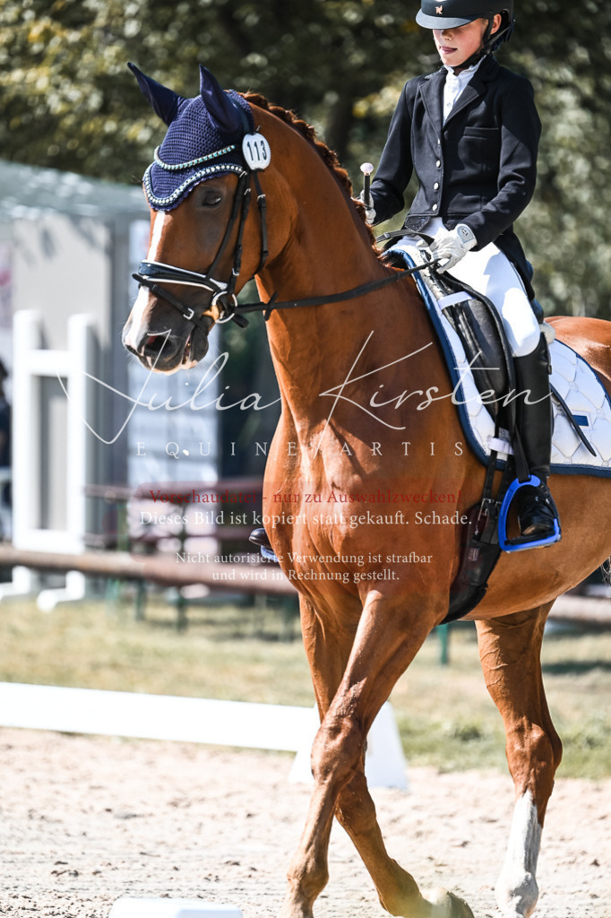 DSC_5075 | Pferde- und Turnierfotografie in Westsachsen. Pferdeportraits, Auftragszeichnungen und intuitive Kunst.