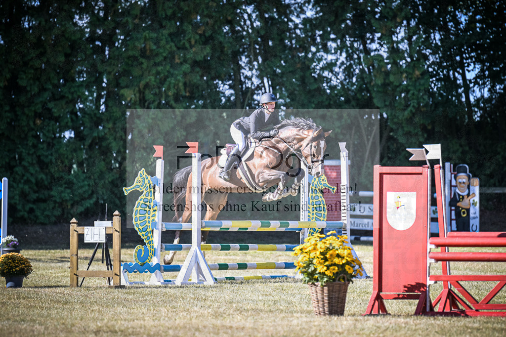 DOS_0090 | Entdecke hochwertige Reitturnierfotos von Foto Oger. Professionell, emotional und authentisch – jetzt Lieblingsmomente im Shop bestellen.Deutschlandweite Turnierfotografie. - Realisiert mit Pictrs.com