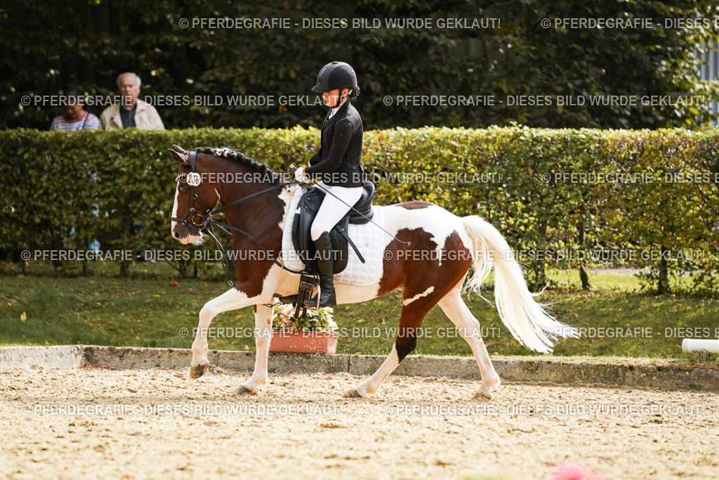 DSC01283 | Pferdegrafie