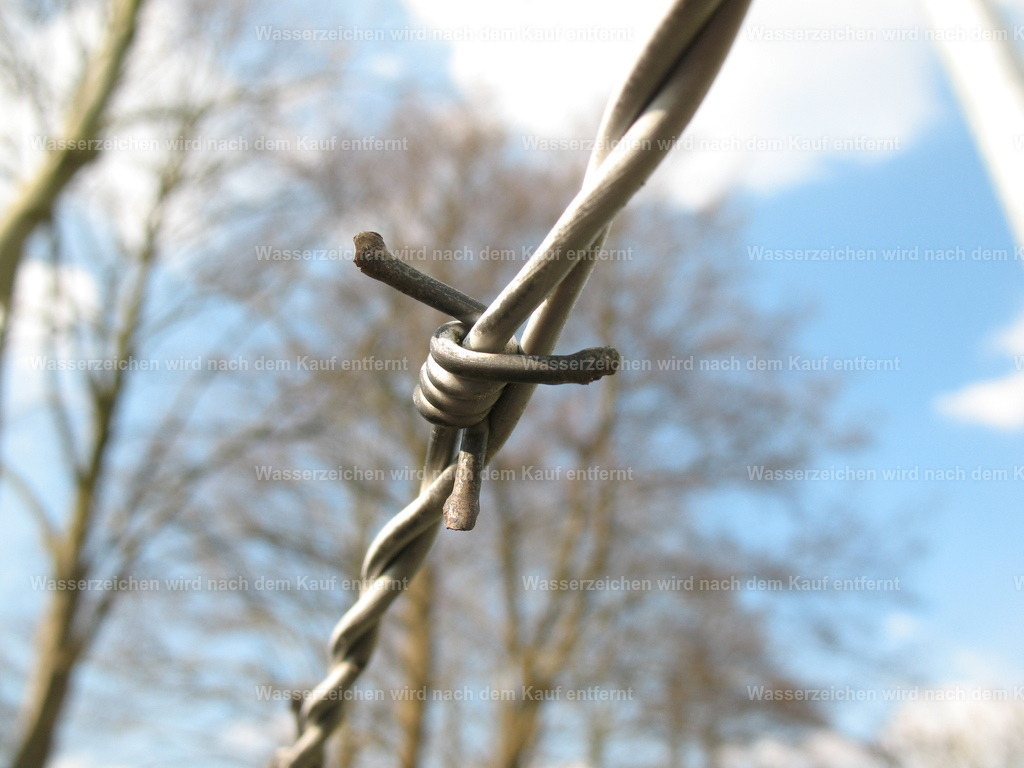 Stacheldraht | Stacheldraht mit Bäume - Realisiert mit Pictrs.com