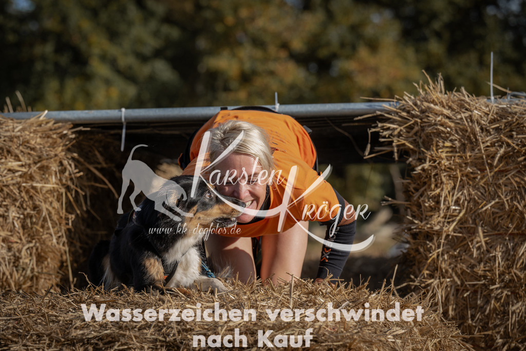 1121_ZZ91205 | kk-dogfotos