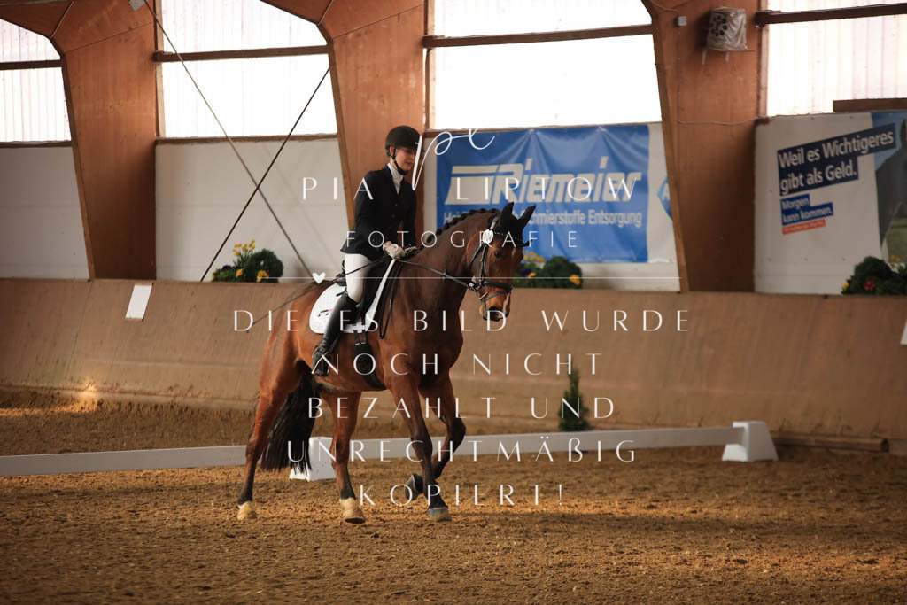 IMGT7533 | pl-fotografie