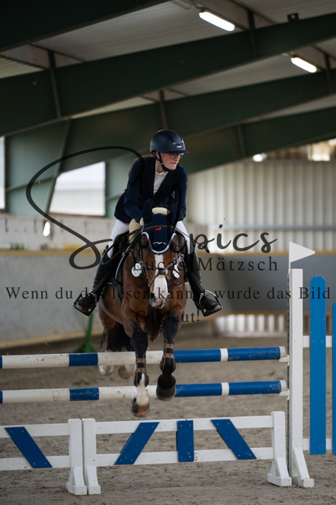 A7V07384 | Pferdefotograf