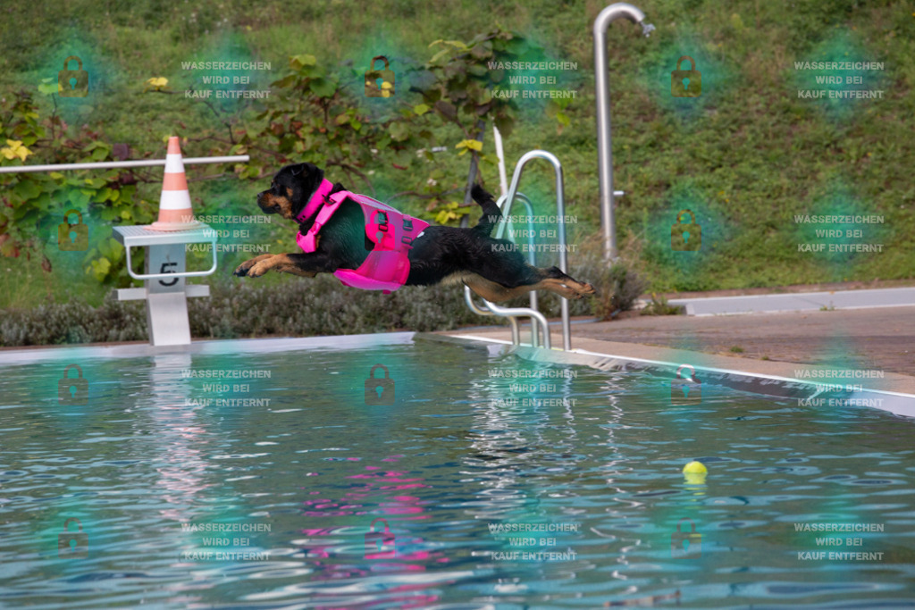 _HP_7600_1000o | HetPix, HetPix Fotodesign, Fotografie, Fotodesign, Webshop, Sportfotografie, Portraitfotografie, Onlineshop, Sportfotografie, Polch, Motorsportfotografie, Eventfotografie