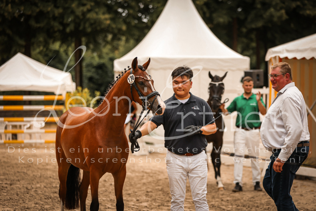 12.So00112 | Leoni Ertmer Photography - Realisiert mit Pictrs.com