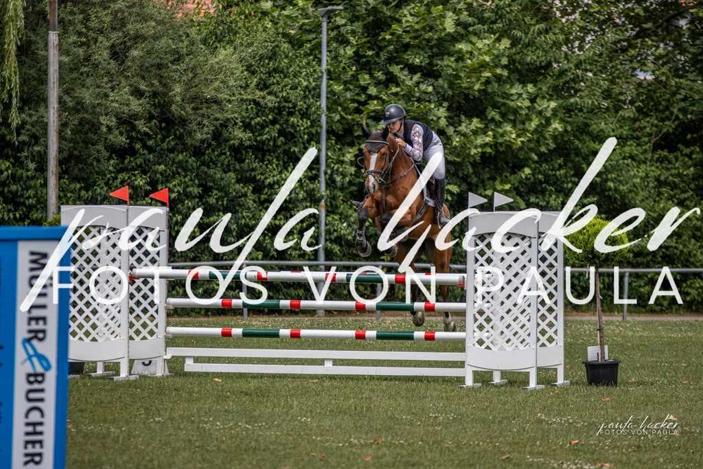 IMG_7087 | Erleben Sie dynamische Sport- und emotionale Tierfotografie in Süddeutschland mit Fotos von Paula. Spezialisiert auf Pferde- und Hundefotografie sowie Sportevents. Kontaktieren Sie mich für einzigartige und ausdrucksstarke Bilder Ihrer besonderen Momente. - Realisiert mit Pictrs.com