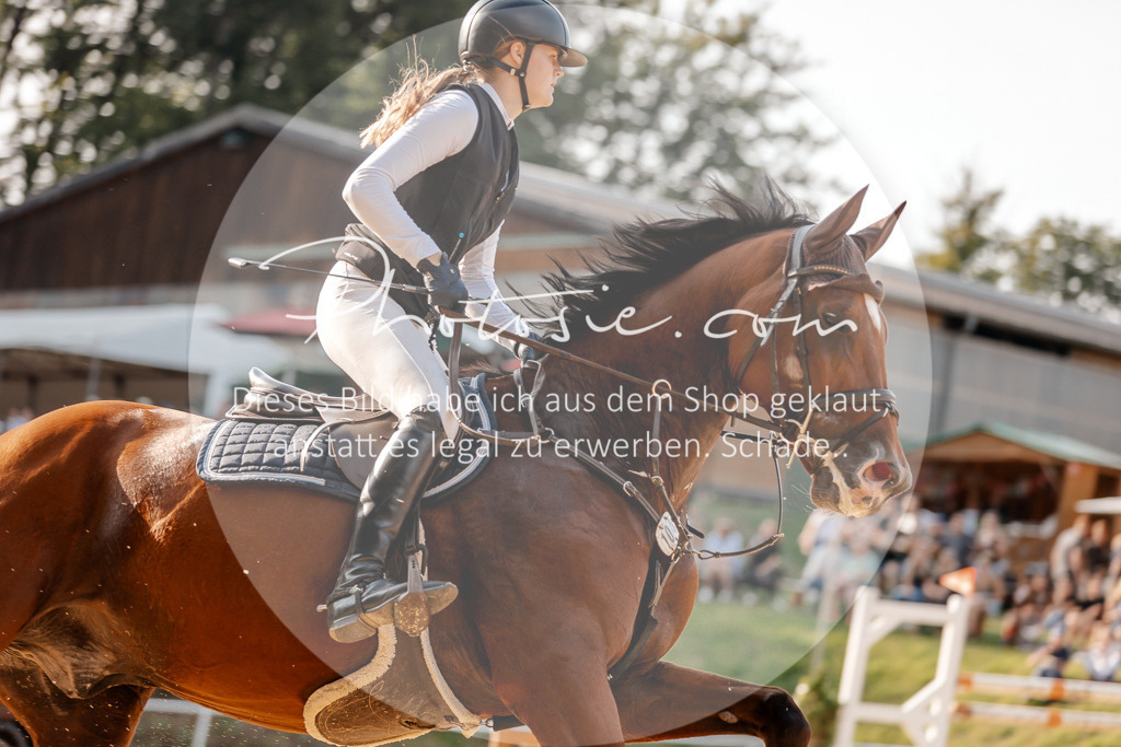 3I6A5104 | Stimmungsvolle Portraits und Reitsportfotografie im Ruhrgebiet und im Münsterland.

Pferdefotografie, Hundefotografie, Tierfotografie, Reportagen, Portraits von Tier und Mensch, Turnierfotografie in Bochum, Recklinghausen, Marl, Haltern am See, Dülmen.. - Realisiert mit Pictrs.com