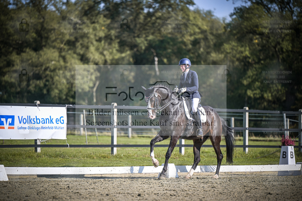 DOS_2478 | Entdecke hochwertige Reitturnierfotos von Foto Oger. Professionell, emotional und authentisch – jetzt Lieblingsmomente im Shop bestellen. - Realisiert mit Pictrs.com
