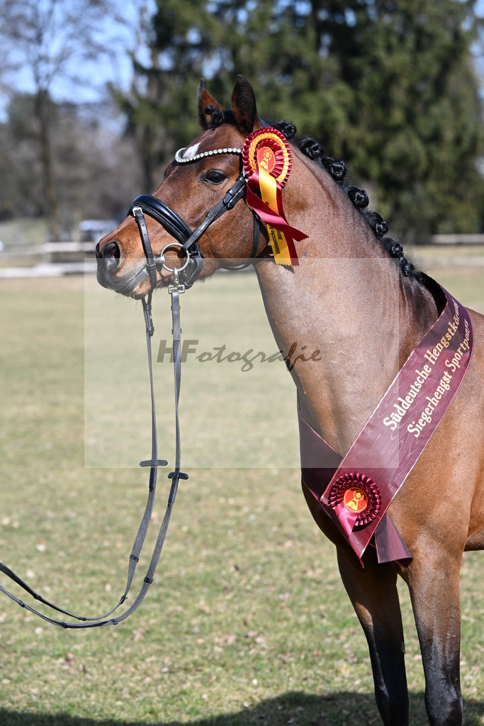 Kat-Nr. 6 Zamperl v. Zeus_Dobner_9260363 | hf-fotografie - Realisiert mit Pictrs.com