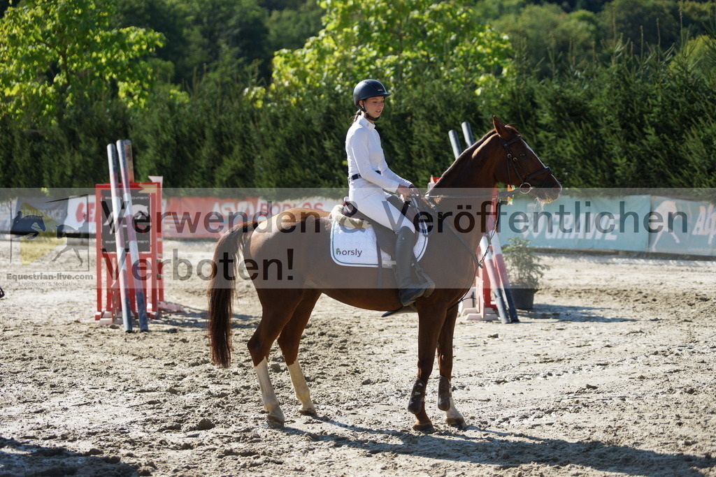 DSC01735 | equestrian-live-com