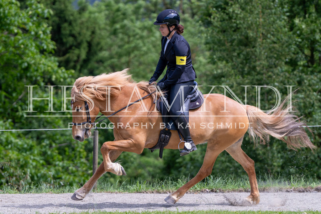 KAI02439 | Ihr sucht einen Fotografen für eure nächste OSI? Ich begleite auch euer Turnier für Islandpferde fotografisch.  - Realisiert mit Pictrs.com