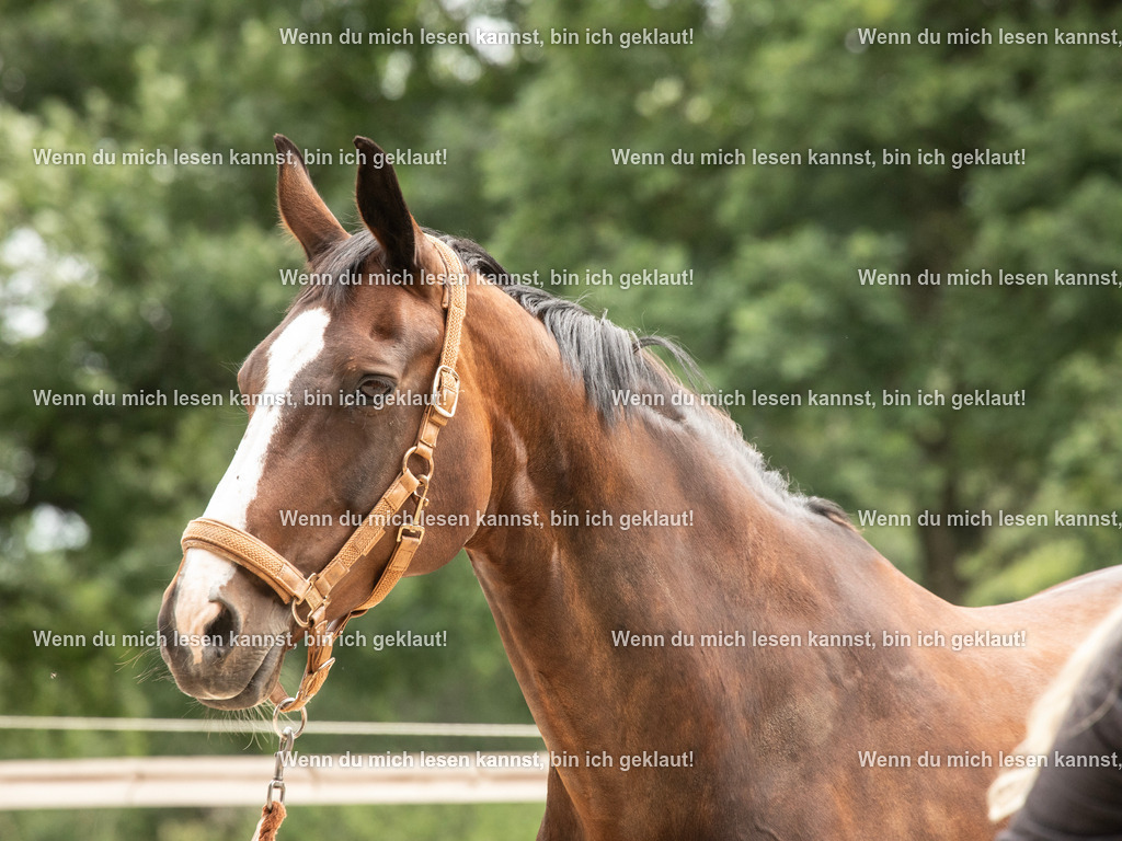 598A6980 | photographylinaismer - Realisiert mit Pictrs.com