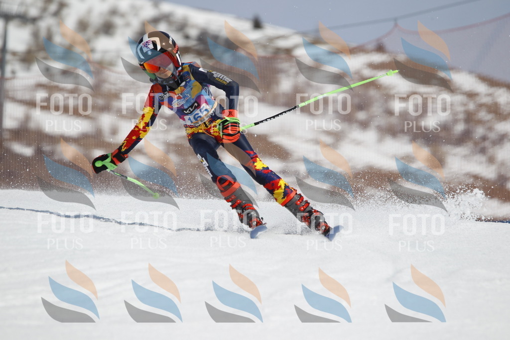 _U3G1433 | holidayphoto