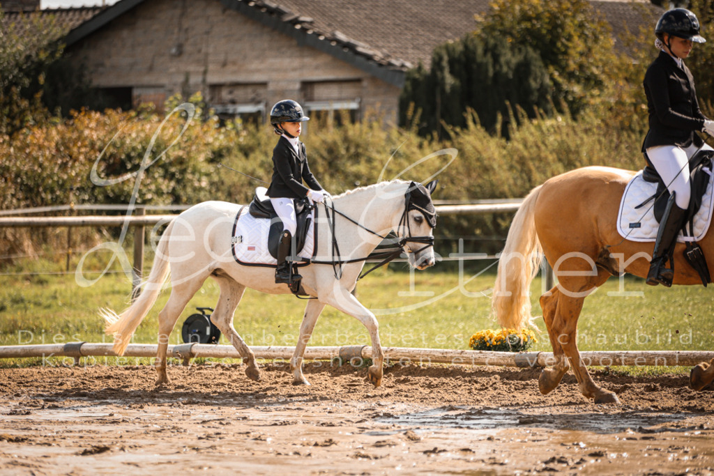 02.SoDrWB00089 | Leoni Ertmer Photography - Realisiert mit Pictrs.com