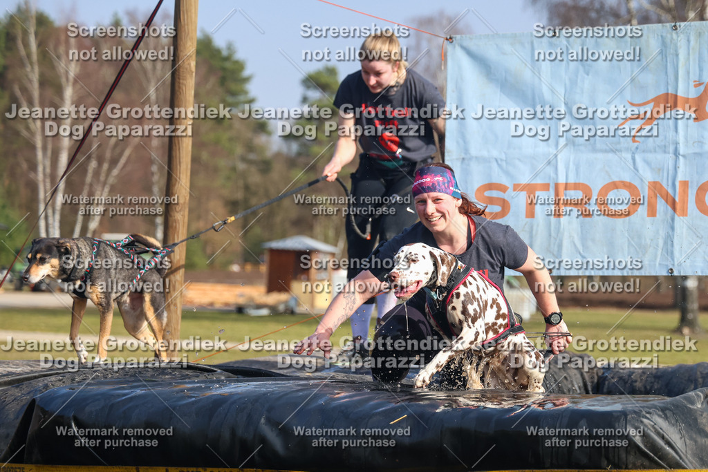 Dog Paparazzi - Strongdog North Mrz26-2622 | Dog Paparazzi Jeanette Grottendiek Fotografie & Videografie - Realisiert mit Pictrs.com