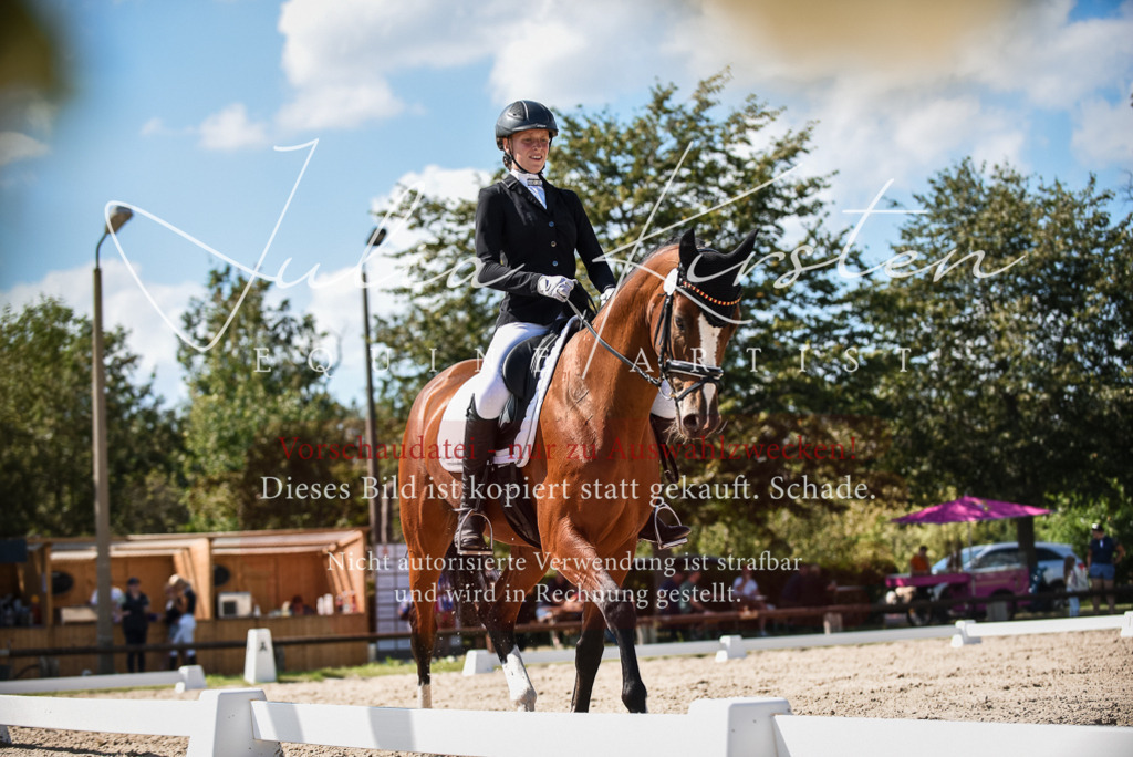 DSC_9502 | Pferde- und Turnierfotografie in Westsachsen. Pferdeportraits, Auftragszeichnungen und intuitive Kunst.