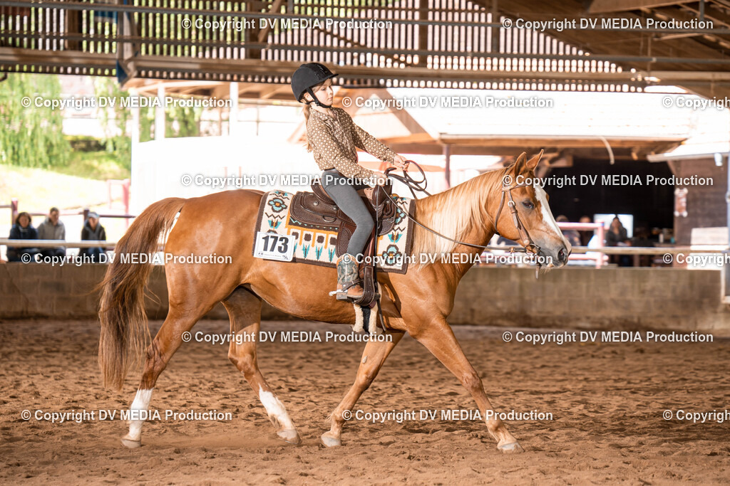 Erbach Tag 1-532 | dv-media-shop - Realisiert mit Pictrs.com