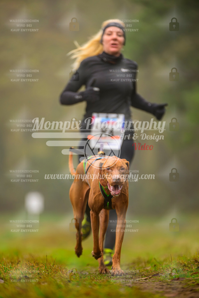 MompixPhotography_Bischwiller2025_Canicross-138 | mompixphotography