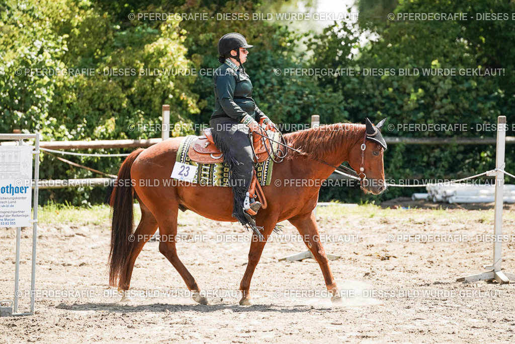 DSC06614 | Pferdegrafie