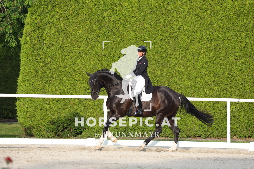0P6A4465 | Willkommen bei Brunnmayr - Design & Fotografie – Ihrem Spezialisten für Reitturniere und Pferdeveranstaltungen in Oberösterreich, Salzburg und Bayern! Seit über 17 Jahren sind wir leidenschaftlich dabei.