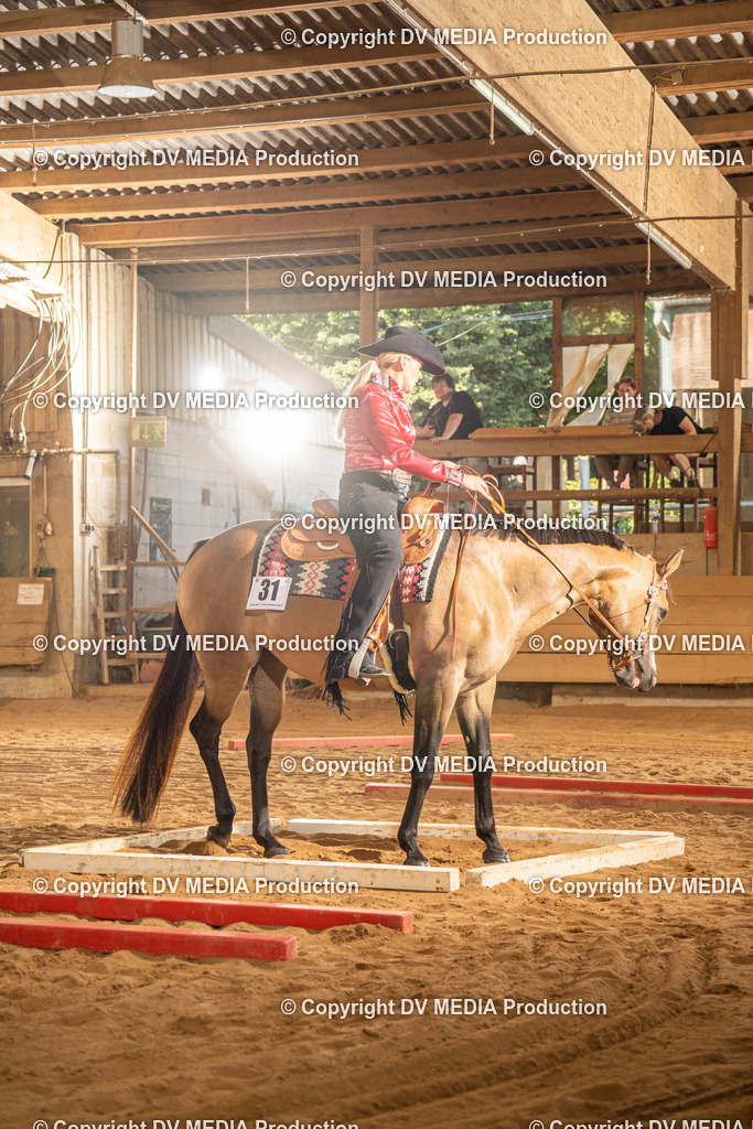 NID02762 | dv-media-shop - Realisiert mit Pictrs.com