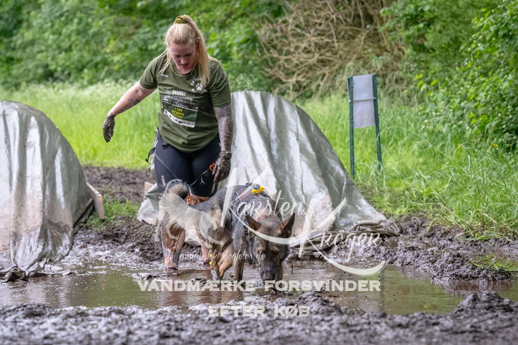 1617_ZZ93081-Bearbeitet | kk-dogfotos