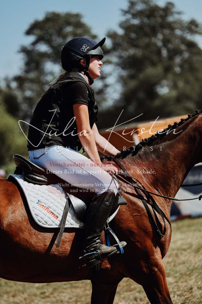 DSC_9917 | Pferde- und Turnierfotografie in Westsachsen. Pferdeportraits, Auftragszeichnungen und intuitive Kunst.