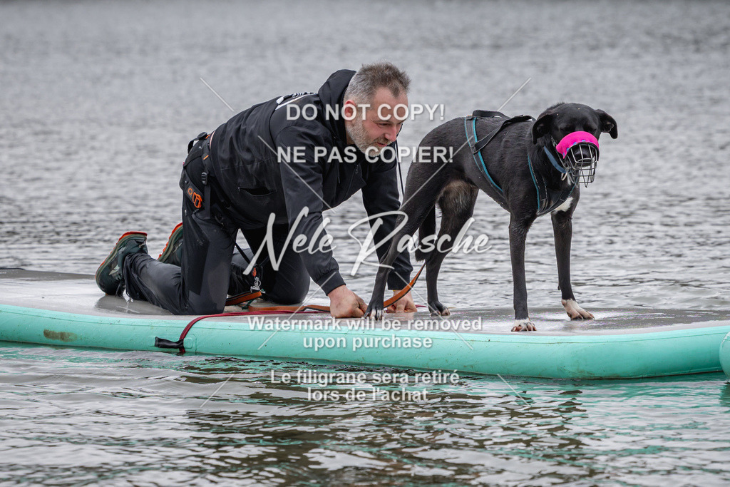 nelerasche_Hulsbeek_Sa1330-1430_300 | nelerasche