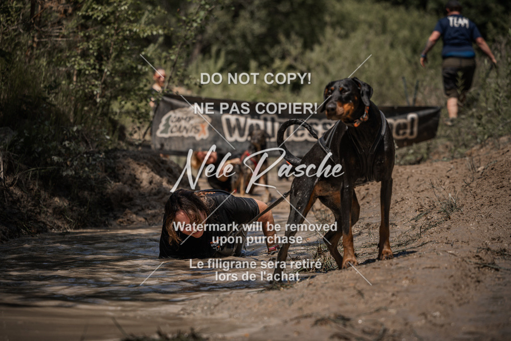 nelerasche_Hoope2026_Sa1330-1400_542 | nelerasche