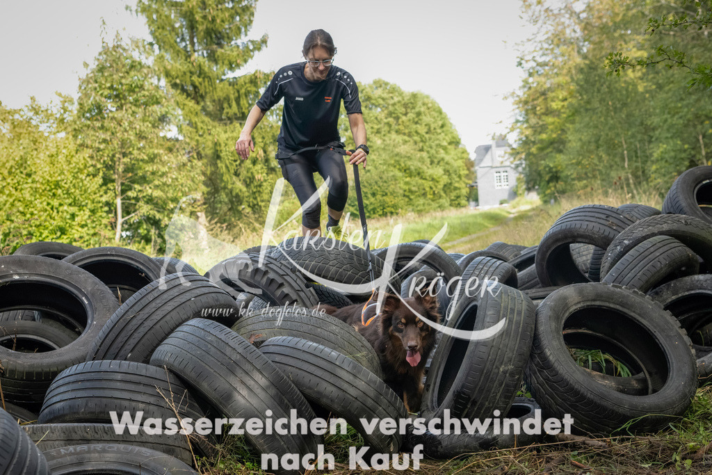 1505_ZZ91130-Bearbeitet | kk-dogfotos