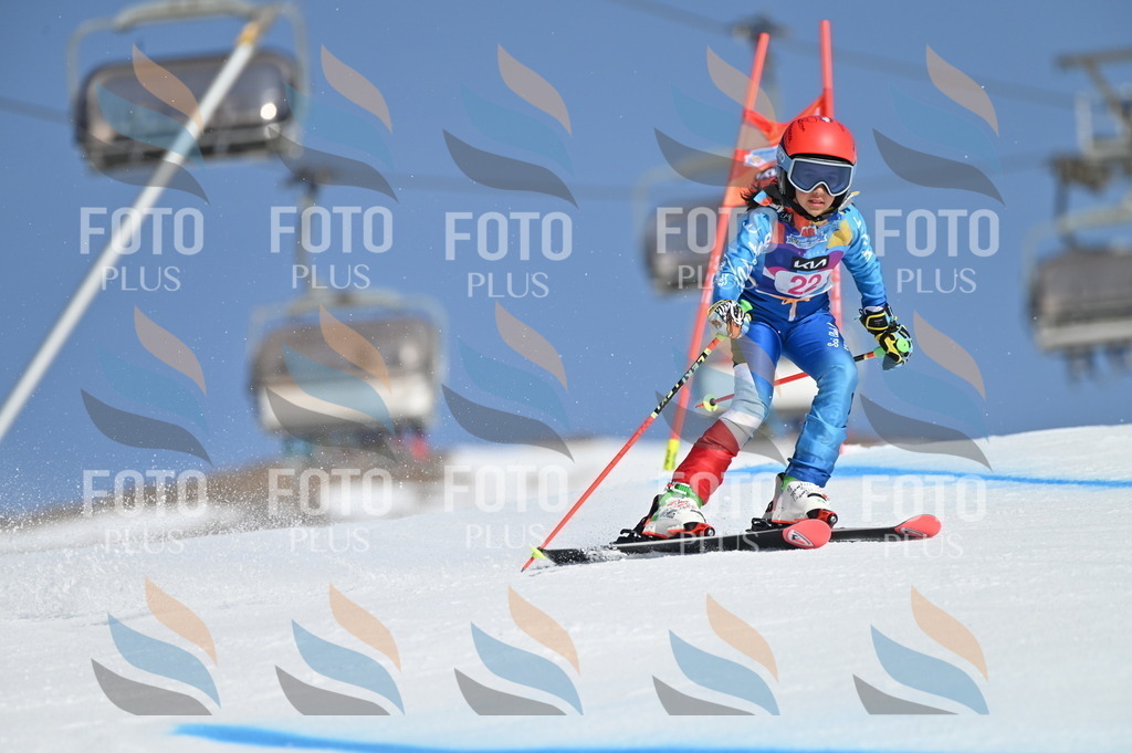 BGV_7976 | holidayphoto