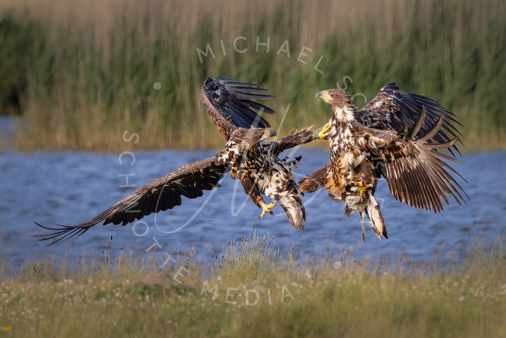 2023-06-01 Katinger Watt - 107 | Schwotte Media - Realisiert mit Pictrs.com