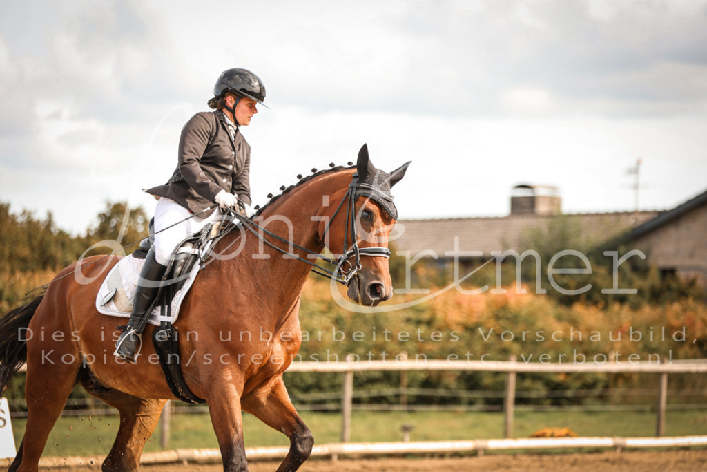 17.SoDrM00080 | Leoni Ertmer Photography - Realisiert mit Pictrs.com