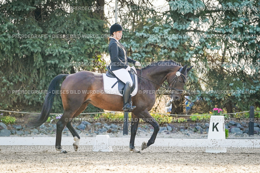 DSC07991 | Pferdegrafie