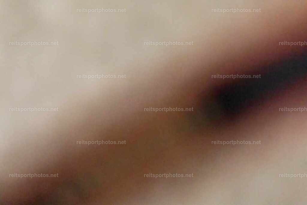 JoYaR3_Thomashof_02165 | JoYa Fotografie - Realisiert mit Pictrs.com