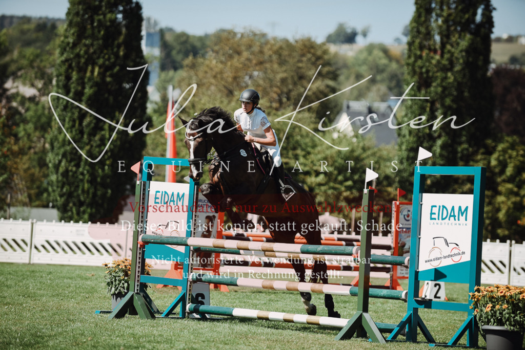 DSC_3136 | Pferde- und Turnierfotografie in Westsachsen. Pferdeportraits, Auftragszeichnungen und intuitive Kunst.
