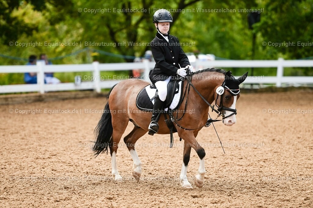 20230716_10-2_Reiter-WB Schritt - Trab - Galopp_0132 | equistock