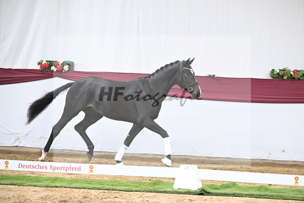 Kat-Nr. 18 Escaneno x Fuerstenball_Stefan Holtwiesche_47250494 | hf-fotografie - Realisiert mit Pictrs.com