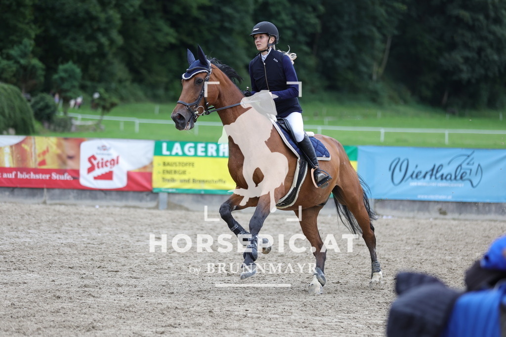 0P6A3093 | Willkommen bei Brunnmayr - Design & Fotografie – Ihrem Spezialisten für Reitturniere und Pferdeveranstaltungen in Oberösterreich, Salzburg und Bayern! Seit über 17 Jahren sind wir leidenschaftlich dabei.