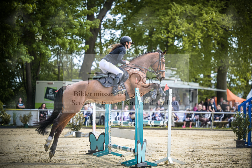 DOS_0474 | Entdecke hochwertige Reitturnierfotos von Foto Oger. Professionell, emotional und authentisch – jetzt Lieblingsmomente im Shop bestellen. - Realisiert mit Pictrs.com