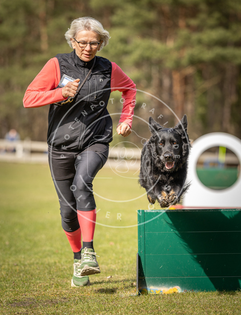 Pfotenfotografie_DV3A0185 | Hundefotografie, Tierfotograf, Pfotenfotografie, Fotoshooting Hund, Hunde Portrait, Hundesport, Hundeportraits, Heideshooting, Hunde, Sportfotograf, Hundefotograf, Turnierhundsport, THS,  - Realisiert mit Pictrs.com