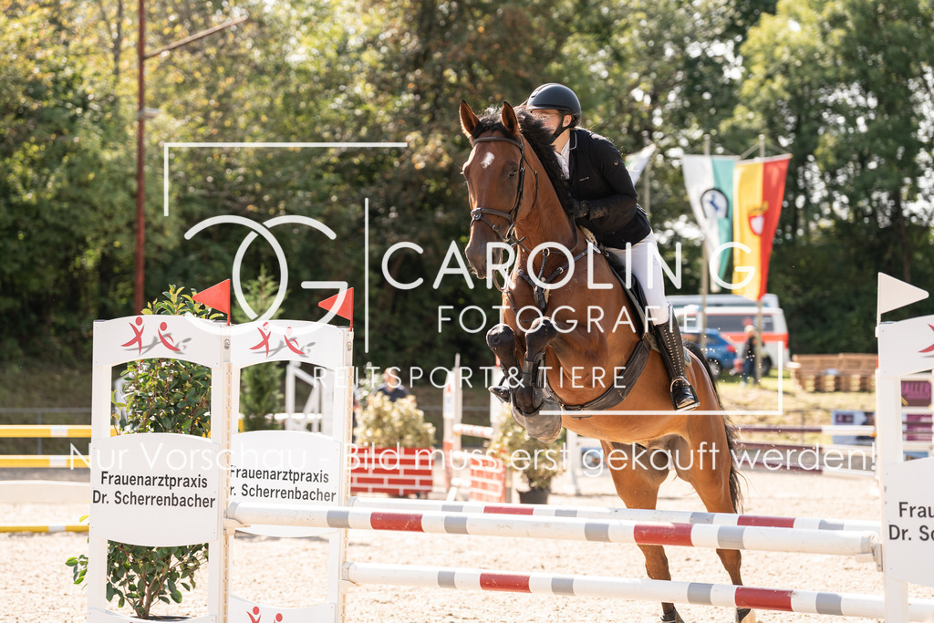 DSC02019 | Carolin Gieschke