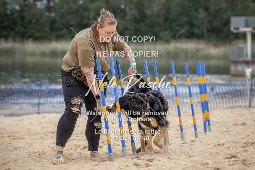 nelerasche_BuHu2026_So10-11_41 | nelerasche