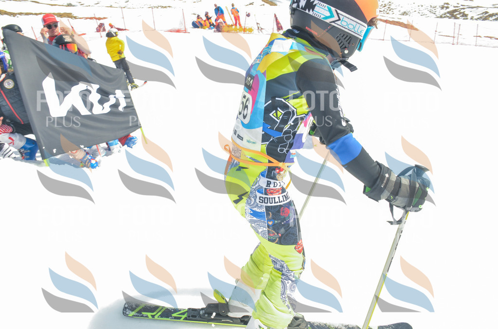 _ELE6382 | holidayphoto